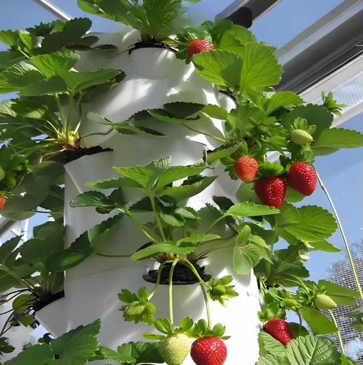 Modular hydroponic growth wall - Urban Farming Wall recension och pris