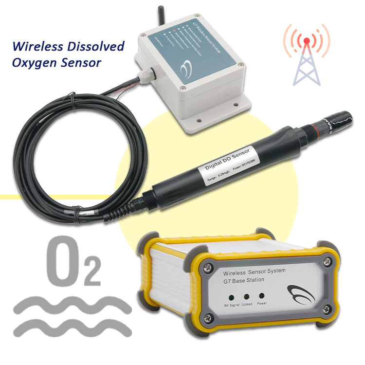 NEW Real-time Monitoring Water - Do Oxygen Meter recension och pris